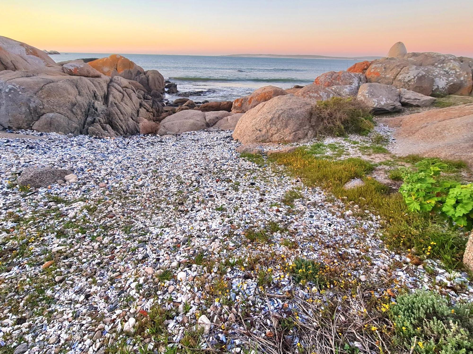 Flamink Beach View Cottage In Paternoster Extérieur photo